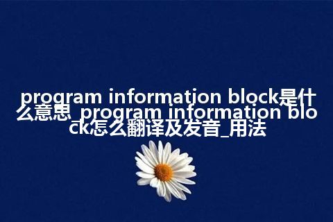 program information block是什么意思_program information block怎么翻译及发音_用法