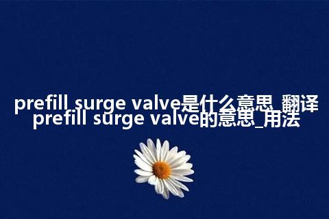 prefill surge valve是什么意思_翻译prefill surge valve的意思_用法