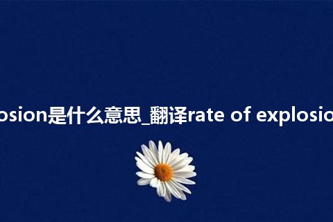 rate of explosion是什么意思_翻译rate of explosion的意思_用法
