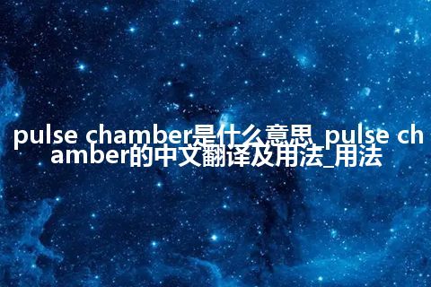 pulse chamber是什么意思_pulse chamber的中文翻译及用法_用法