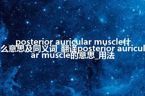 posterior auricular muscle什么意思及同义词_翻译posterior auricular muscle的意思_用法