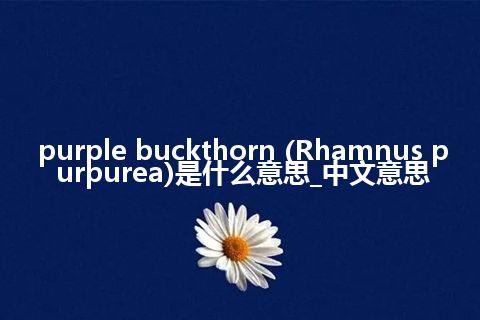 purple buckthorn (Rhamnus purpurea)是什么意思_中文意思