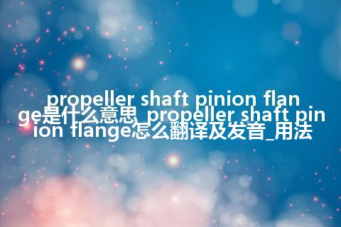 propeller shaft pinion flange是什么意思_propeller shaft pinion flange怎么翻译及发音_用法