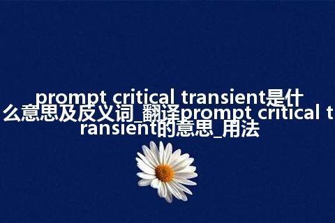 prompt critical transient是什么意思及反义词_翻译prompt critical transient的意思_用法