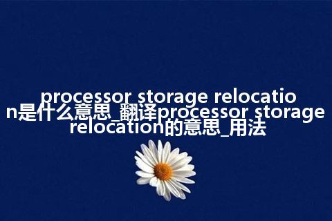 processor storage relocation是什么意思_翻译processor storage relocation的意思_用法