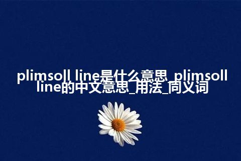 plimsoll line是什么意思_plimsoll line的中文意思_用法_同义词