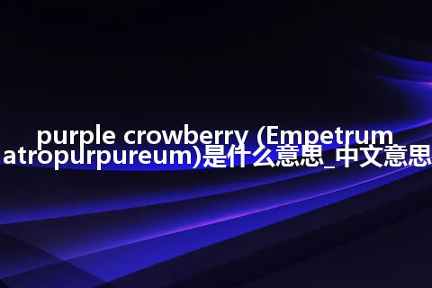 purple crowberry (Empetrum atropurpureum)是什么意思_中文意思