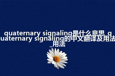 quaternary signaling是什么意思_quaternary signaling的中文翻译及用法_用法