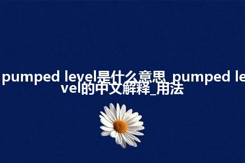 pumped level是什么意思_pumped level的中文解释_用法