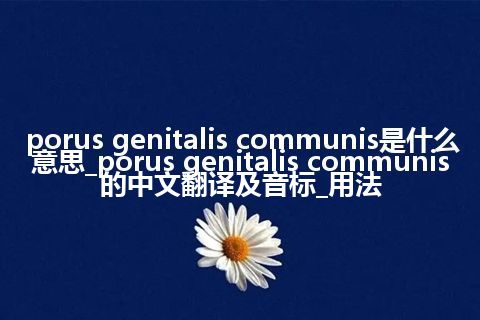 porus genitalis communis是什么意思_porus genitalis communis的中文翻译及音标_用法