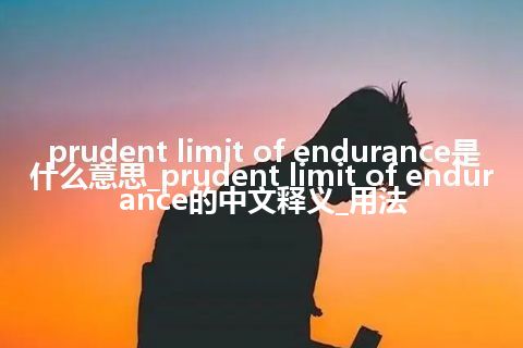 prudent limit of endurance是什么意思_prudent limit of endurance的中文释义_用法
