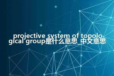 projective system of topological group是什么意思_中文意思