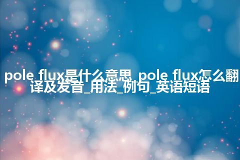 pole flux是什么意思_pole flux怎么翻译及发音_用法_例句_英语短语