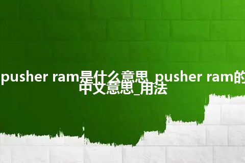 pusher ram是什么意思_pusher ram的中文意思_用法