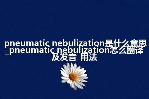 pneumatic nebulization是什么意思_pneumatic nebulization怎么翻译及发音_用法