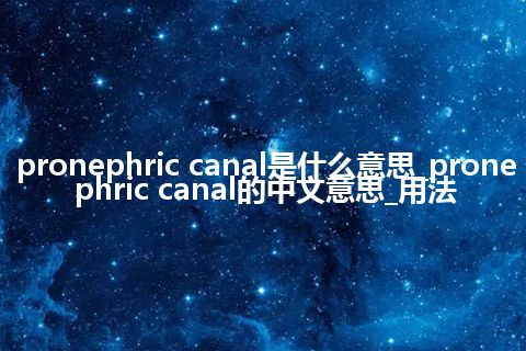 pronephric canal是什么意思_pronephric canal的中文意思_用法