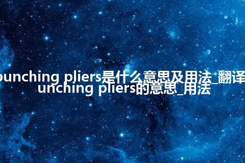 punching pliers是什么意思及用法_翻译punching pliers的意思_用法