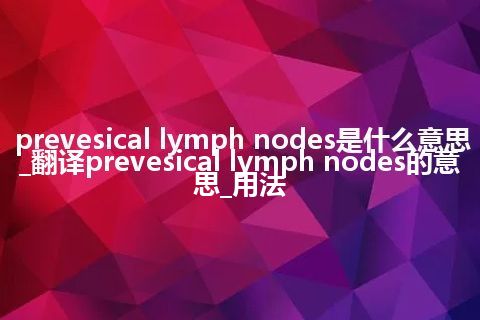 prevesical lymph nodes是什么意思_翻译prevesical lymph nodes的意思_用法