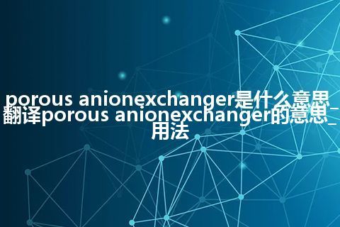 porous anionexchanger是什么意思_翻译porous anionexchanger的意思_用法