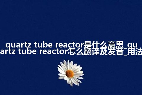quartz tube reactor是什么意思_quartz tube reactor怎么翻译及发音_用法