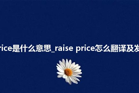 raise price是什么意思_raise price怎么翻译及发音_用法