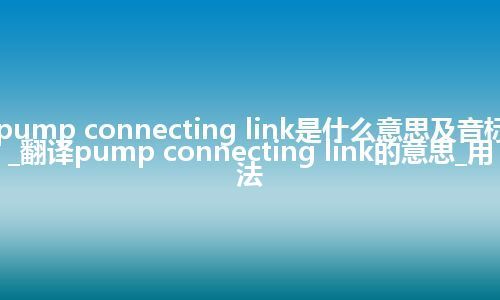pump connecting link是什么意思及音标_翻译pump connecting link的意思_用法