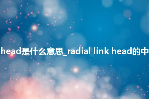 radial link head是什么意思_radial link head的中文释义_用法