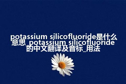 potassium silicofluoride是什么意思_potassium silicofluoride的中文翻译及音标_用法