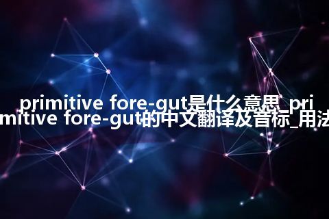 primitive fore-gut是什么意思_primitive fore-gut的中文翻译及音标_用法