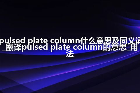 pulsed plate column什么意思及同义词_翻译pulsed plate column的意思_用法
