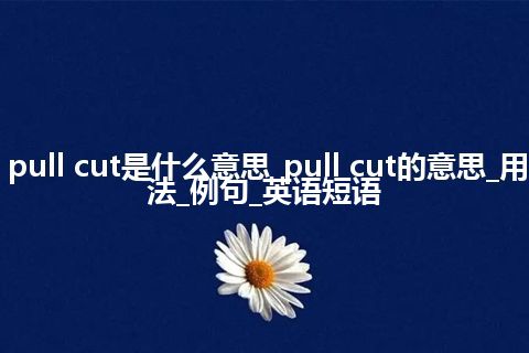 pull cut是什么意思_pull cut的意思_用法_例句_英语短语