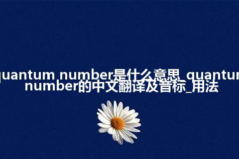 quantum number是什么意思_quantum number的中文翻译及音标_用法