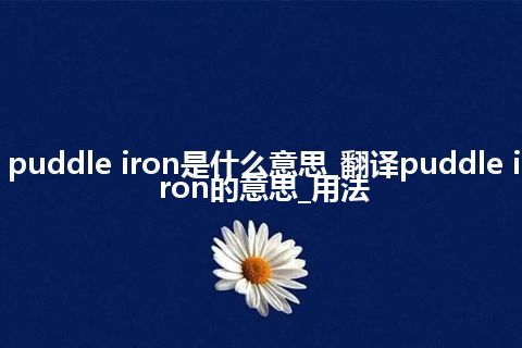 puddle iron是什么意思_翻译puddle iron的意思_用法