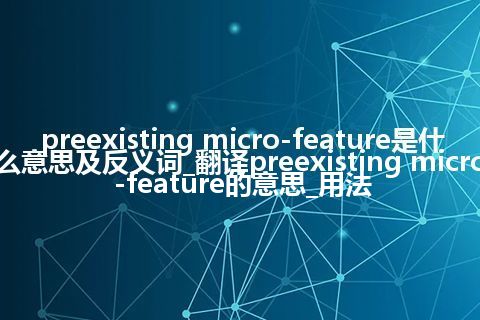preexisting micro-feature是什么意思及反义词_翻译preexisting micro-feature的意思_用法