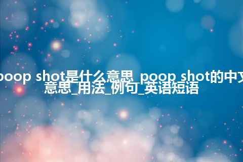poop shot是什么意思_poop shot的中文意思_用法_例句_英语短语