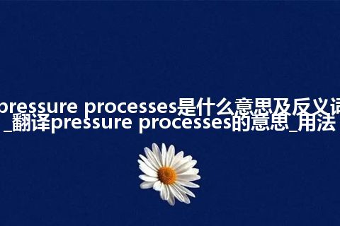 pressure processes是什么意思及反义词_翻译pressure processes的意思_用法