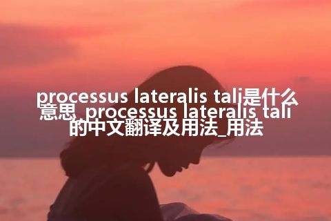 processus lateralis tali是什么意思_processus lateralis tali的中文翻译及用法_用法