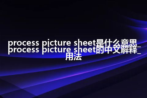 process picture sheet是什么意思_process picture sheet的中文解释_用法