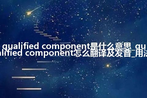 qualified component是什么意思_qualified component怎么翻译及发音_用法