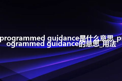 programmed guidance是什么意思_programmed guidance的意思_用法