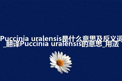 Puccinia uralensis是什么意思及反义词_翻译Puccinia uralensis的意思_用法
