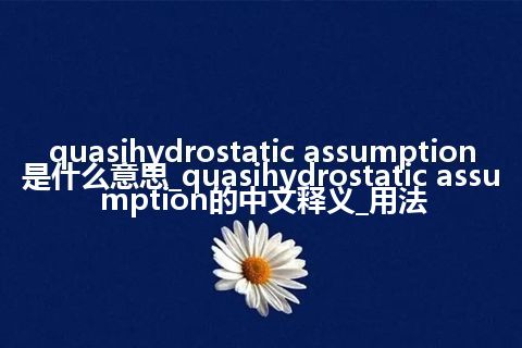 quasihydrostatic assumption是什么意思_quasihydrostatic assumption的中文释义_用法