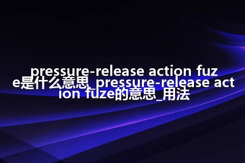 pressure-release action fuze是什么意思_pressure-release action fuze的意思_用法