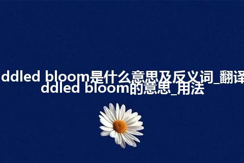 puddled bloom是什么意思及反义词_翻译puddled bloom的意思_用法