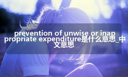 prevention of unwise or inappropriate expenditure是什么意思_中文意思