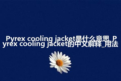 Pyrex cooling jacket是什么意思_Pyrex cooling jacket的中文解释_用法