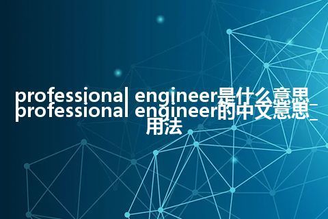 professional engineer是什么意思_professional engineer的中文意思_用法