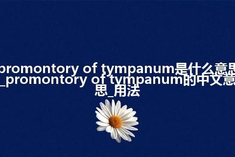 promontory of tympanum是什么意思_promontory of tympanum的中文意思_用法