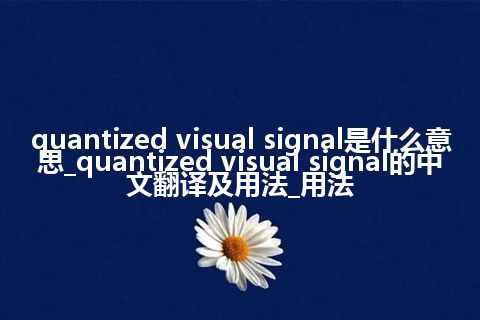 quantized visual signal是什么意思_quantized visual signal的中文翻译及用法_用法