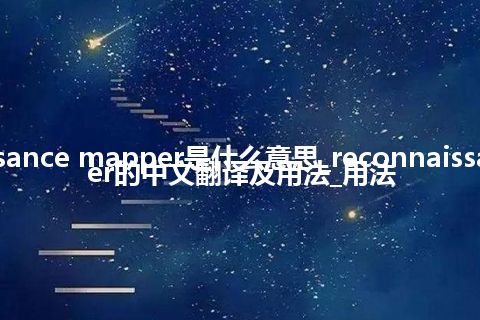 reconnaissance mapper是什么意思_reconnaissance mapper的中文翻译及用法_用法